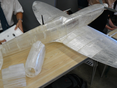 picture of 3D Printed Spitfire